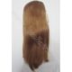 Human Hair Wigs