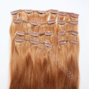 Grade 6A #12 Cheap hair extensions clip in