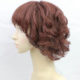 Short Hair Lace Wig (3)