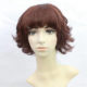 Short Hair Lace Wig (4)