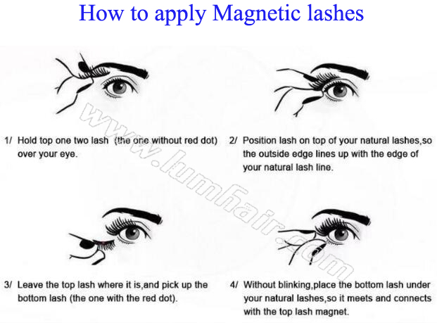 How to apply Magnetic lashes