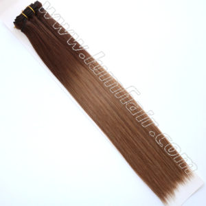 Brown ombre hair