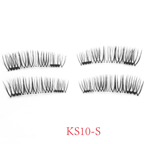 KS10-S1